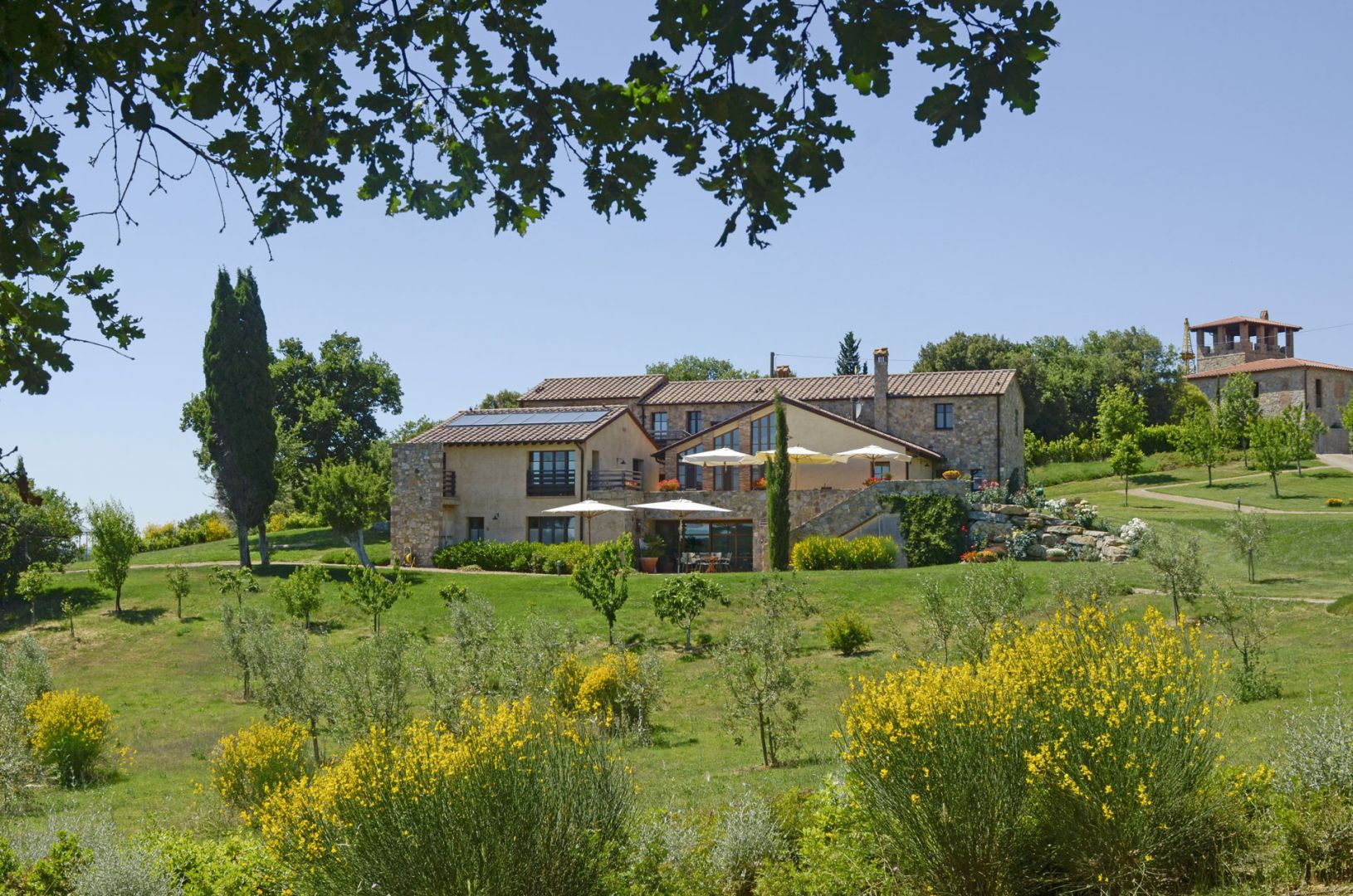 property_image