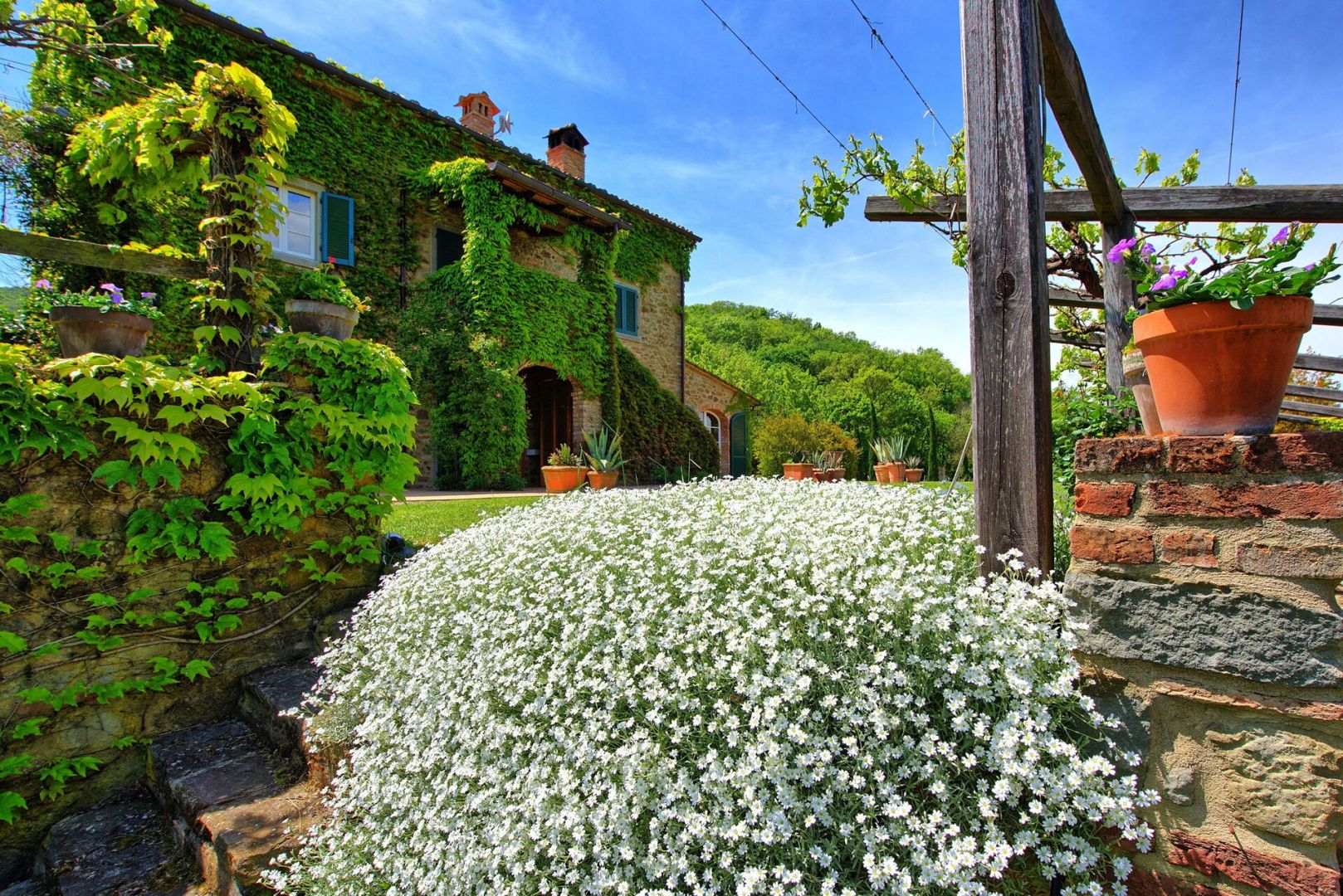 property_image
