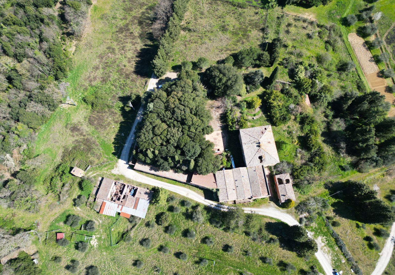 House in Rapolano Terme - Image 5