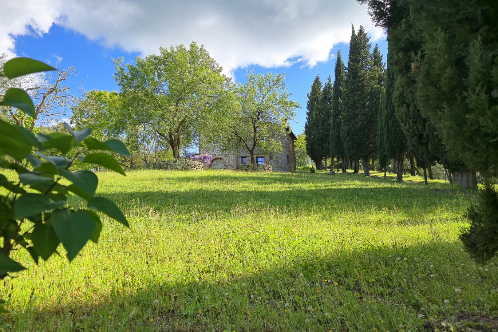 property_image