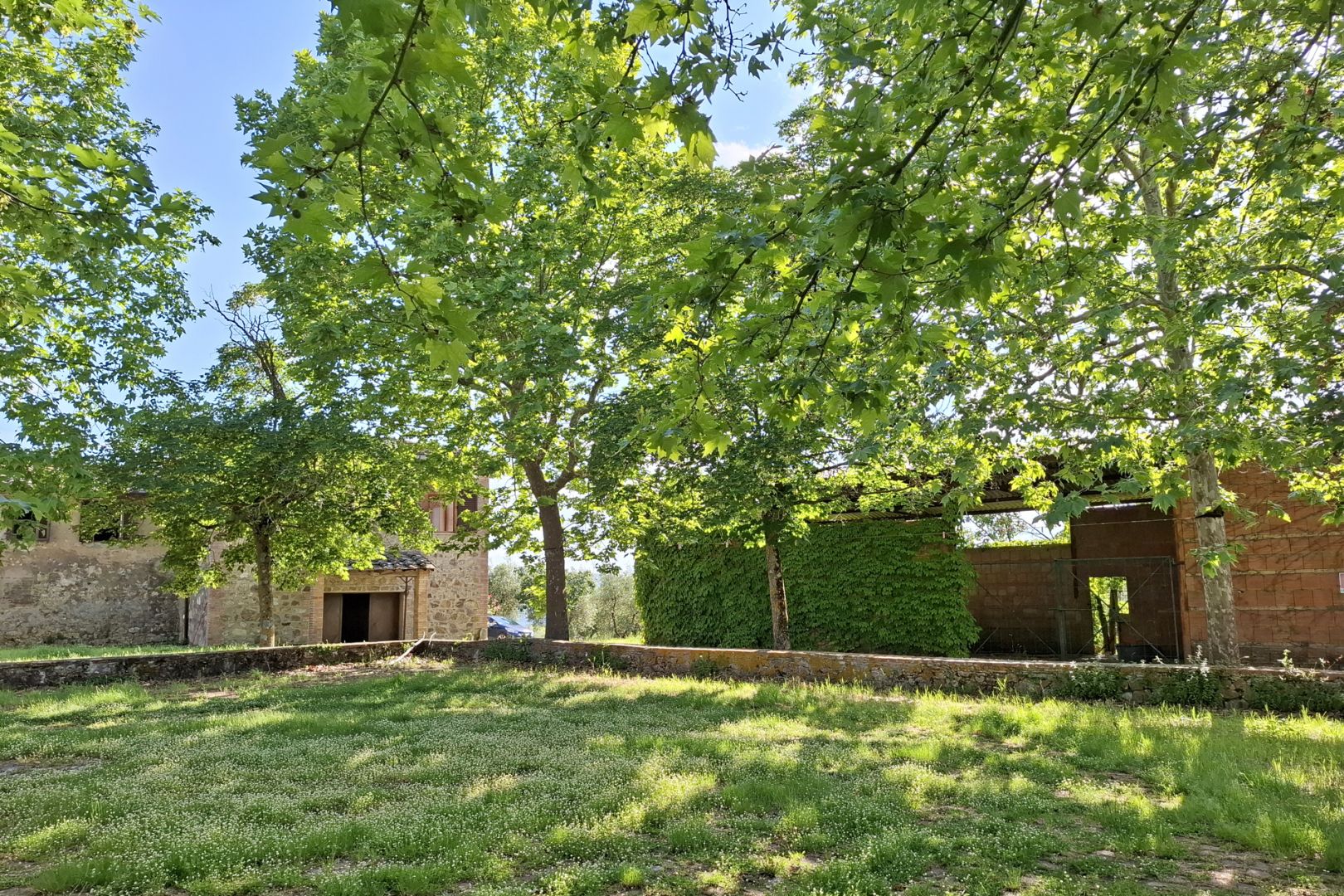 property_image