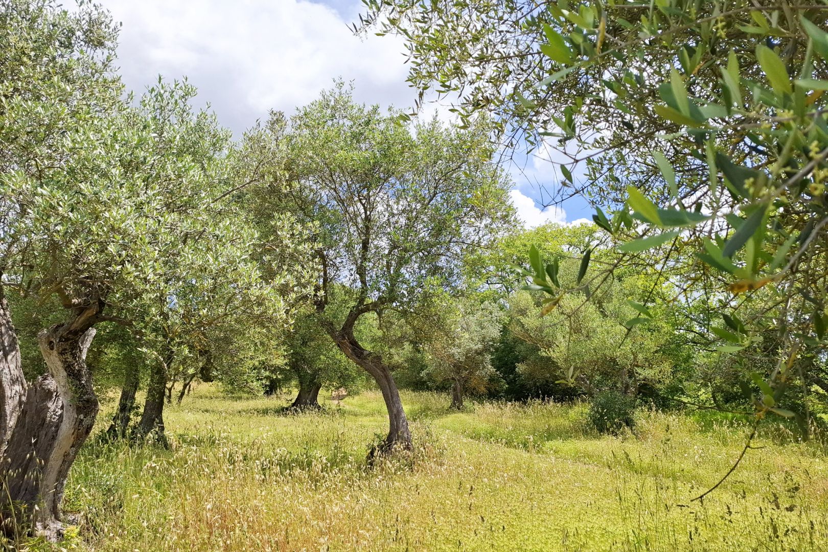 property_image