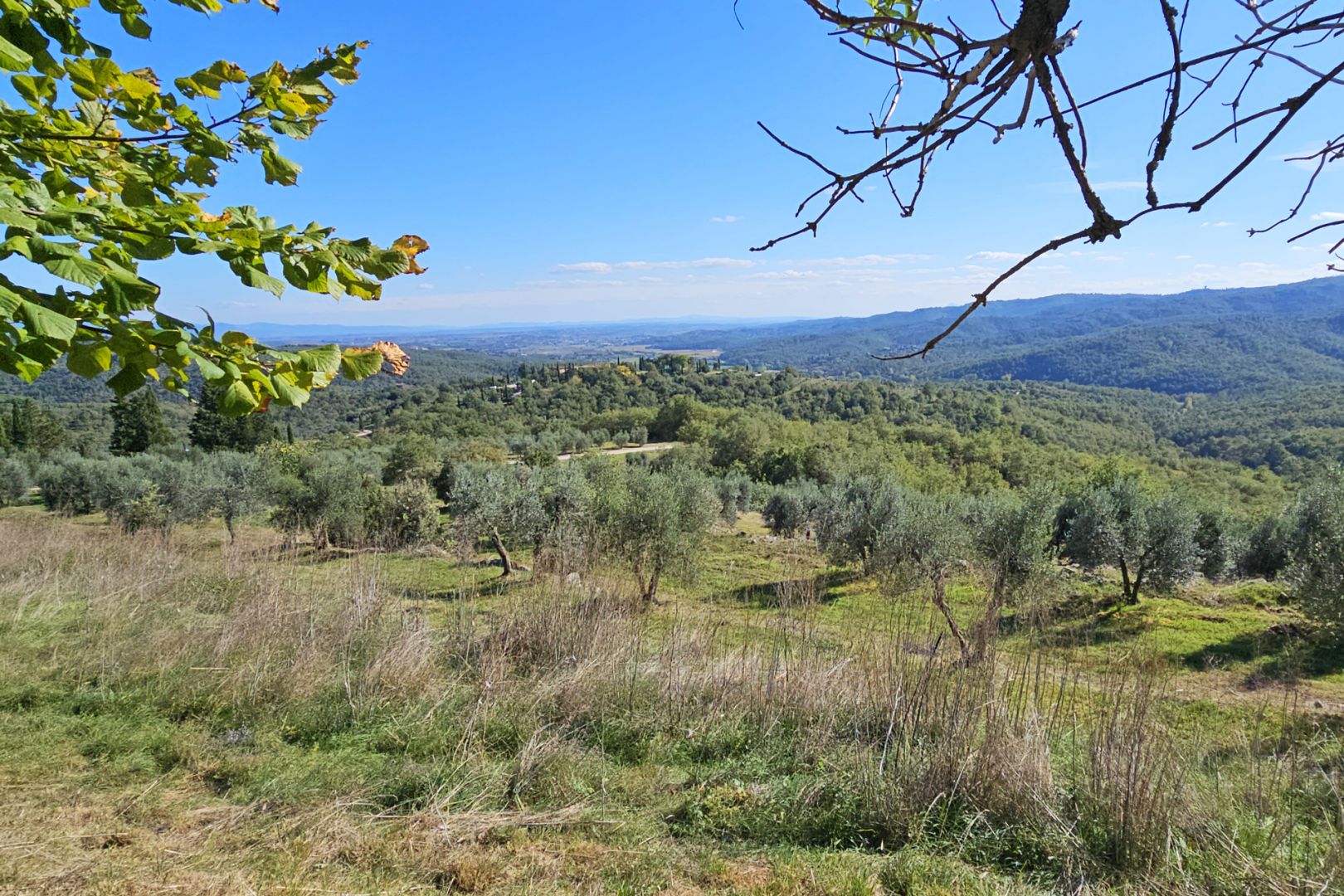 property_image
