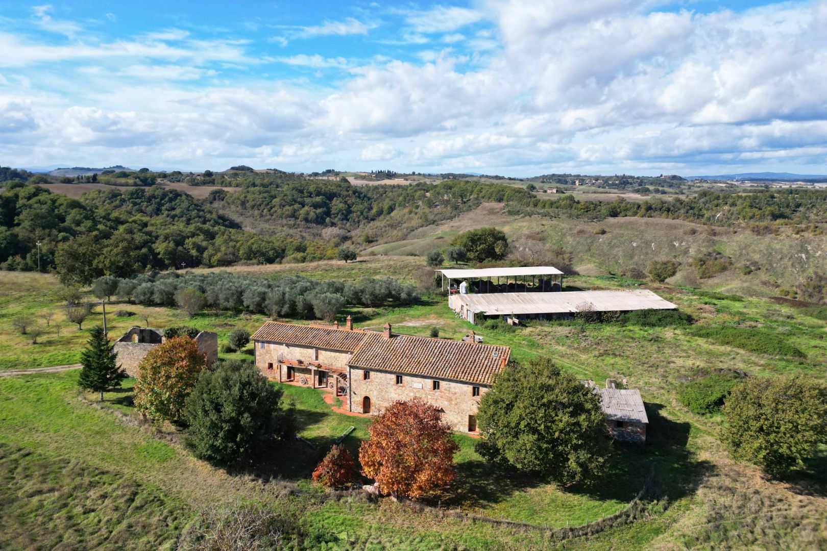House in Asciano - view 1