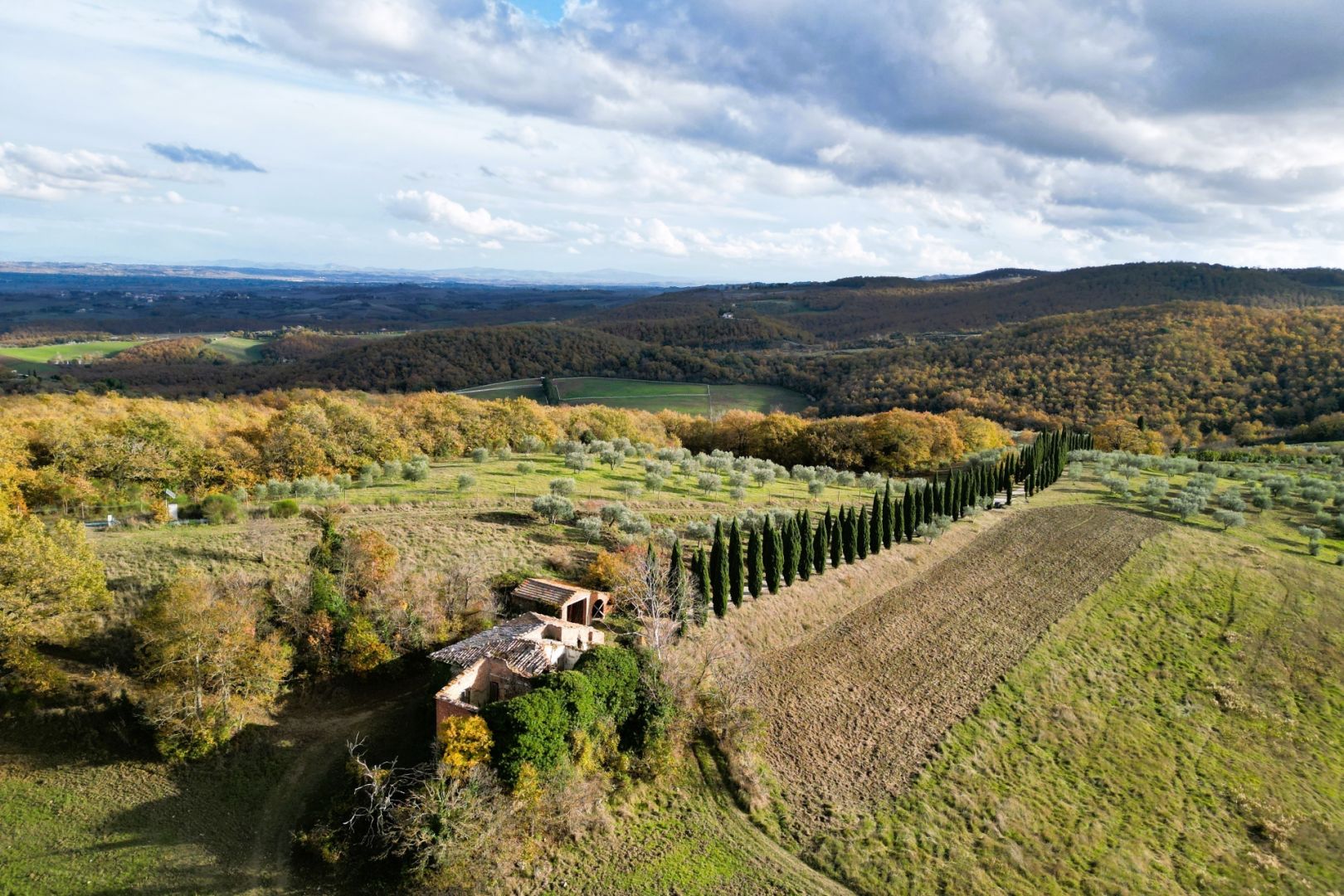 property_image