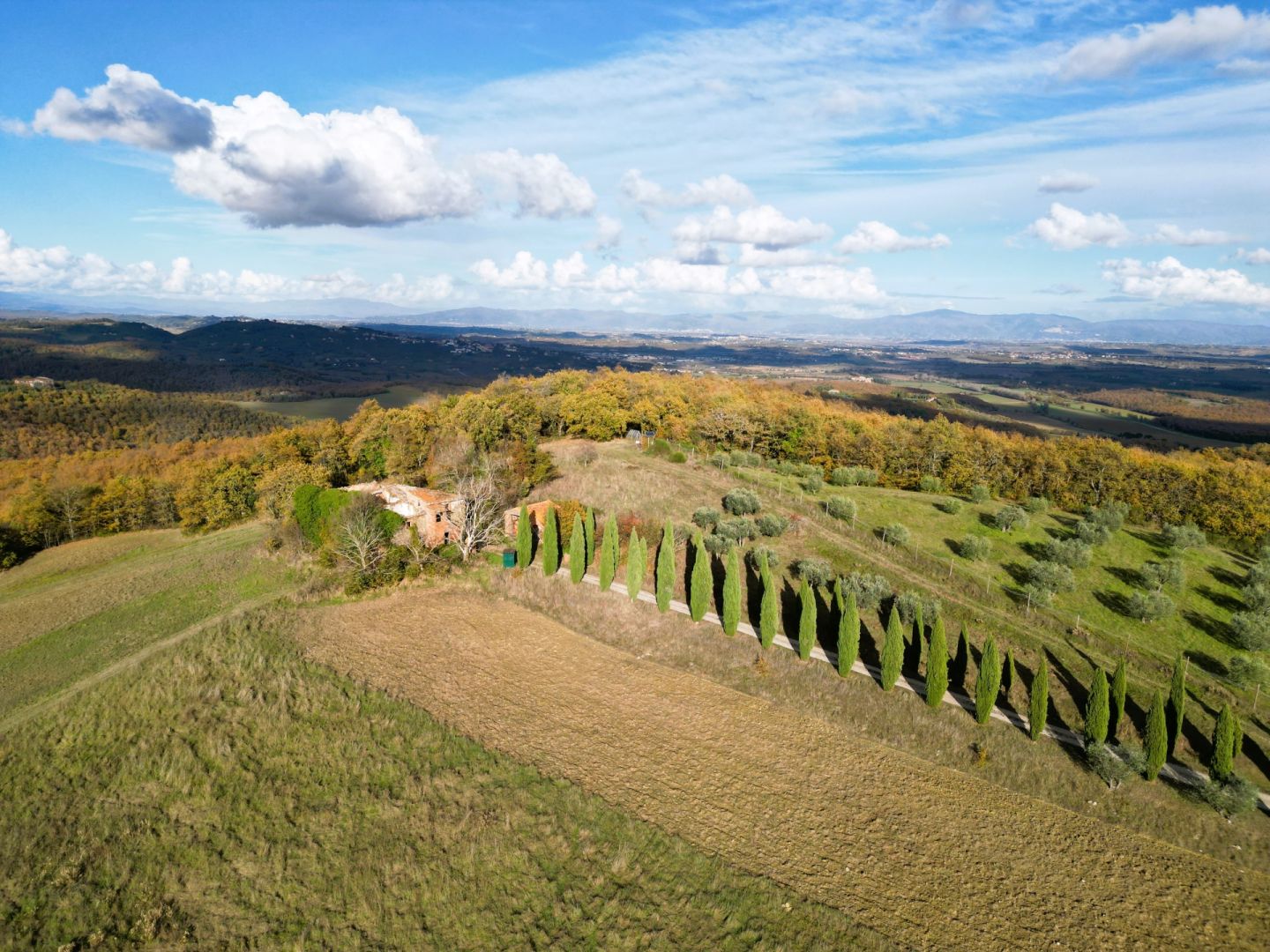 property_image