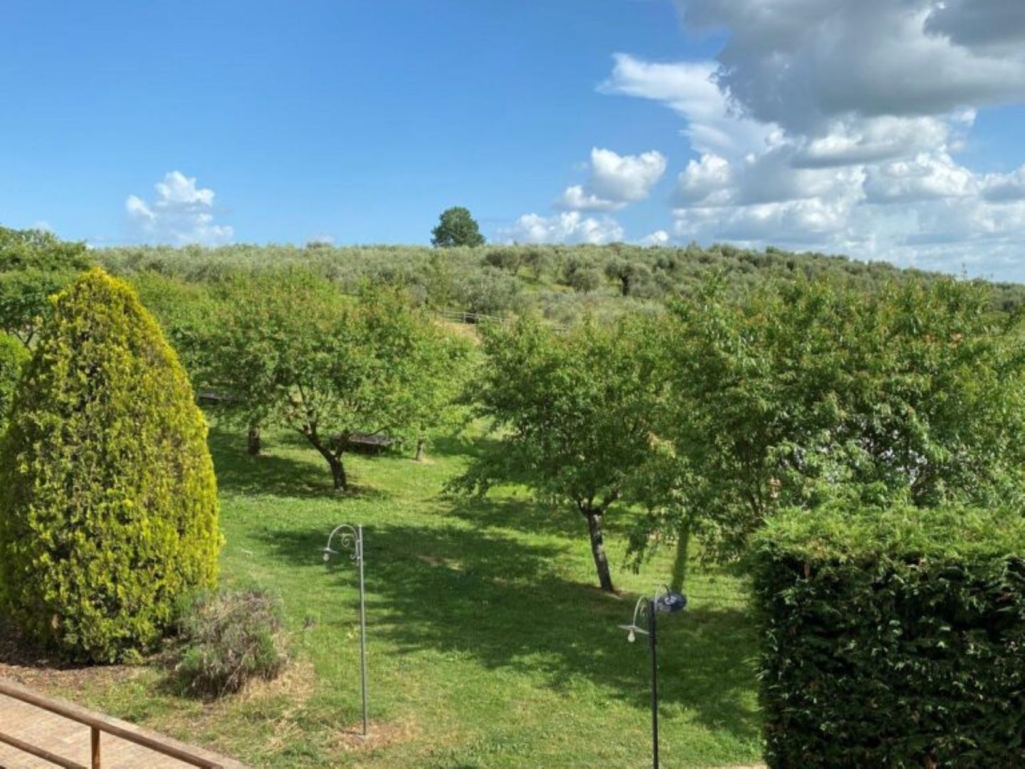 property_image