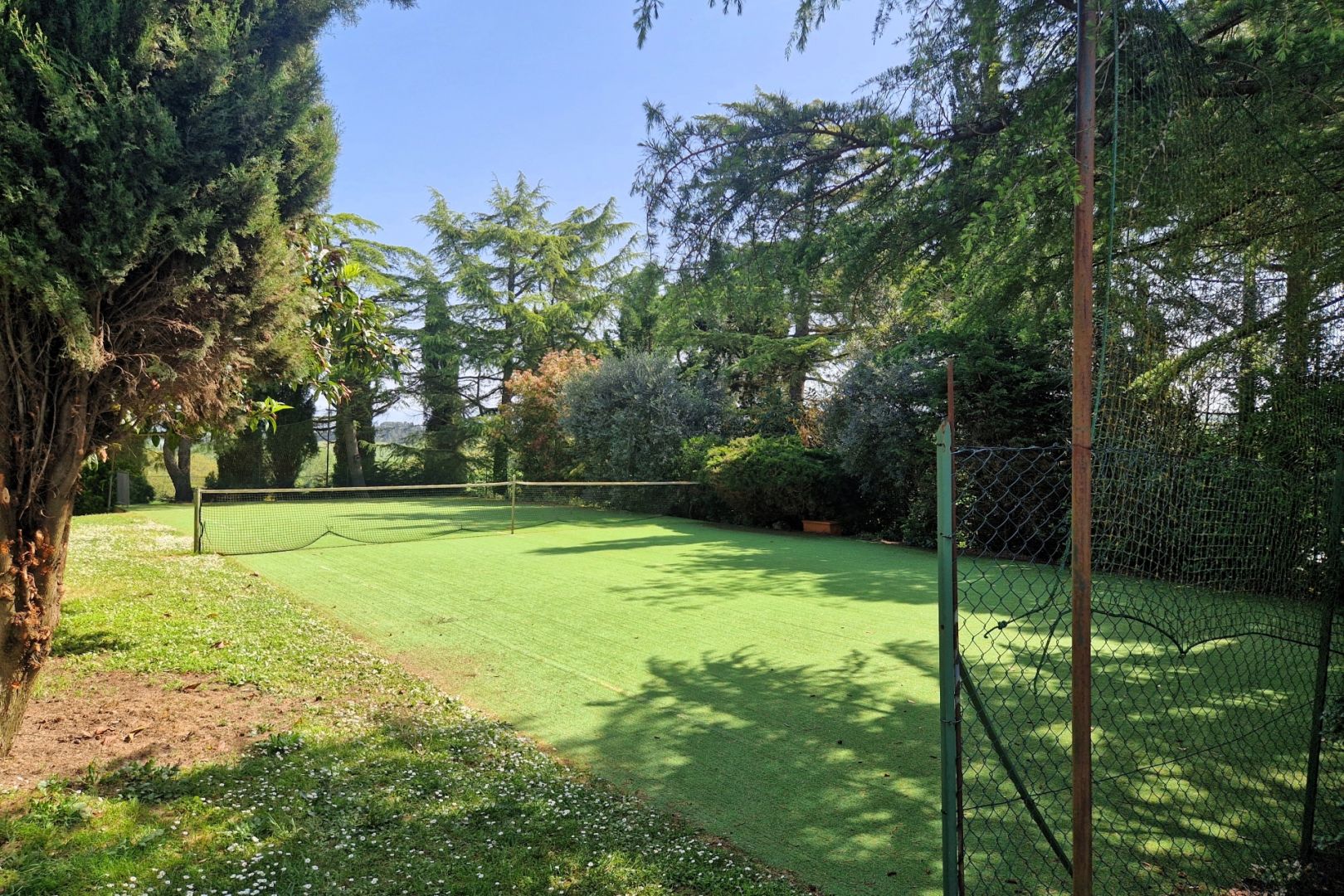 property_image