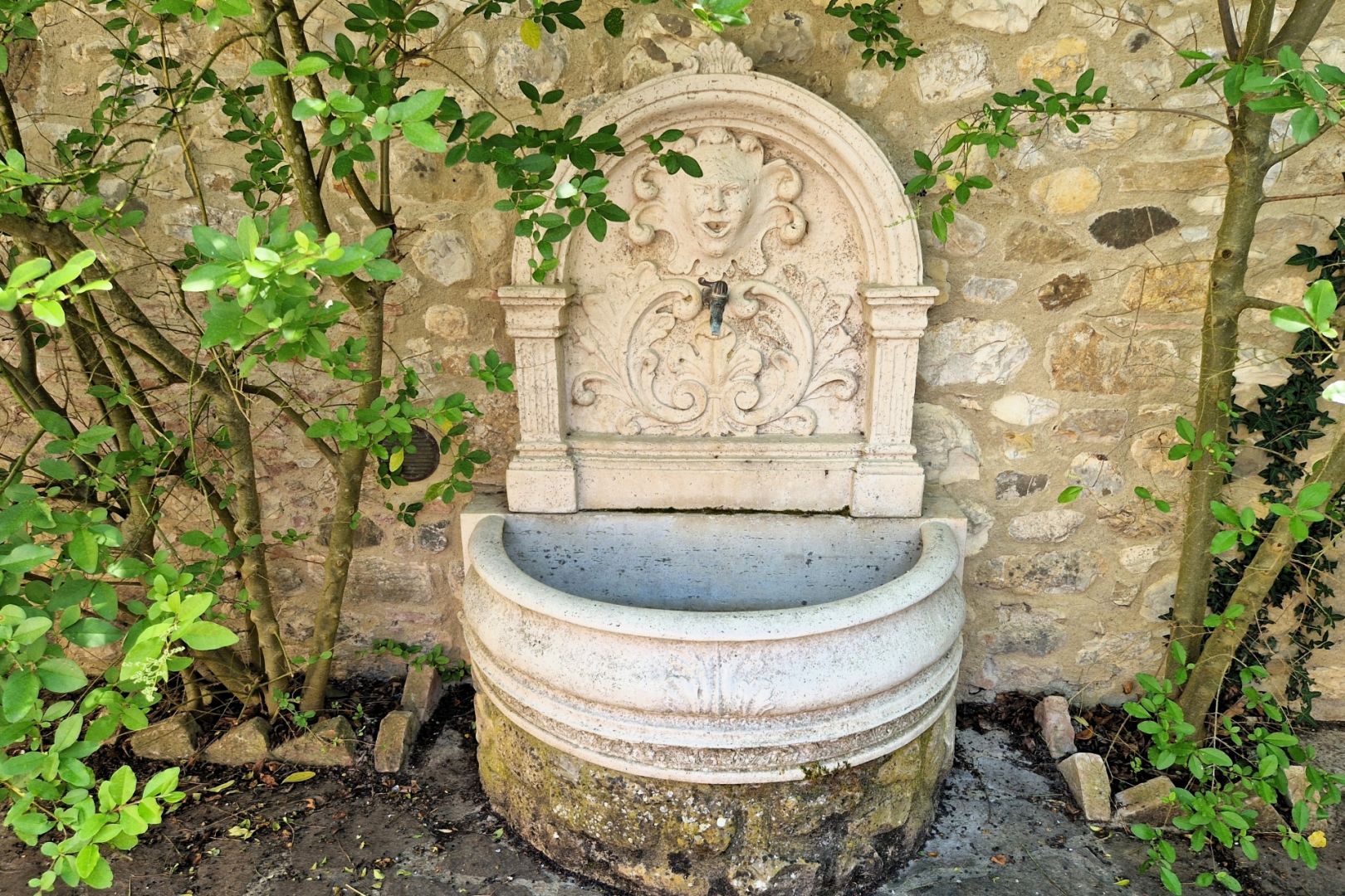 property_image