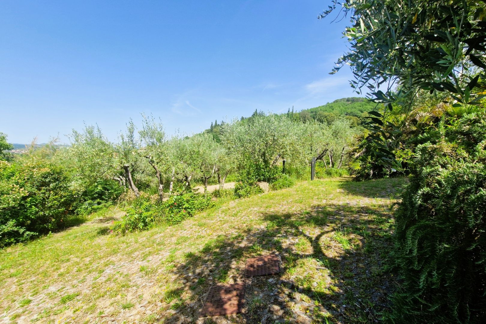 property_image