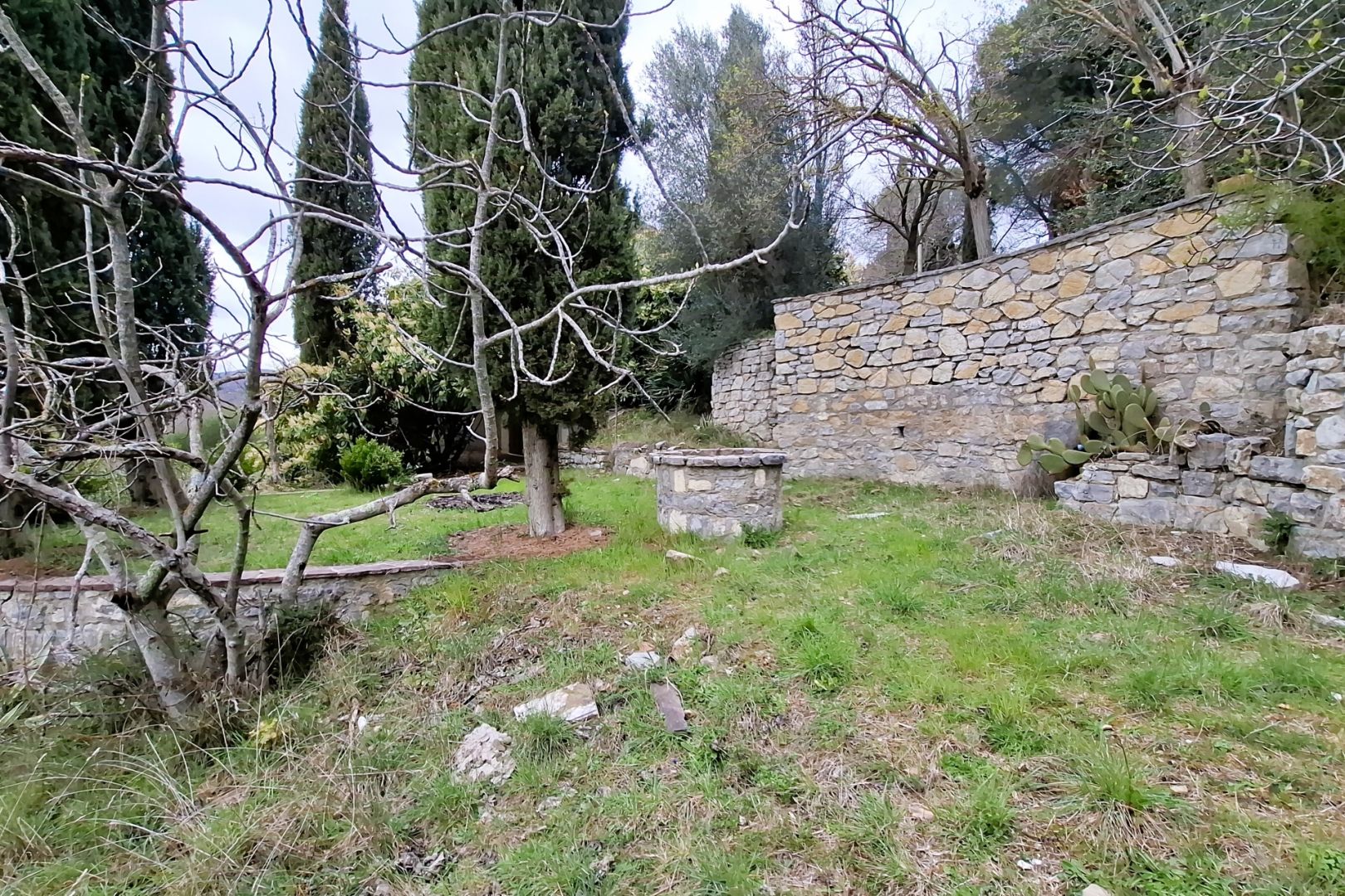property_image