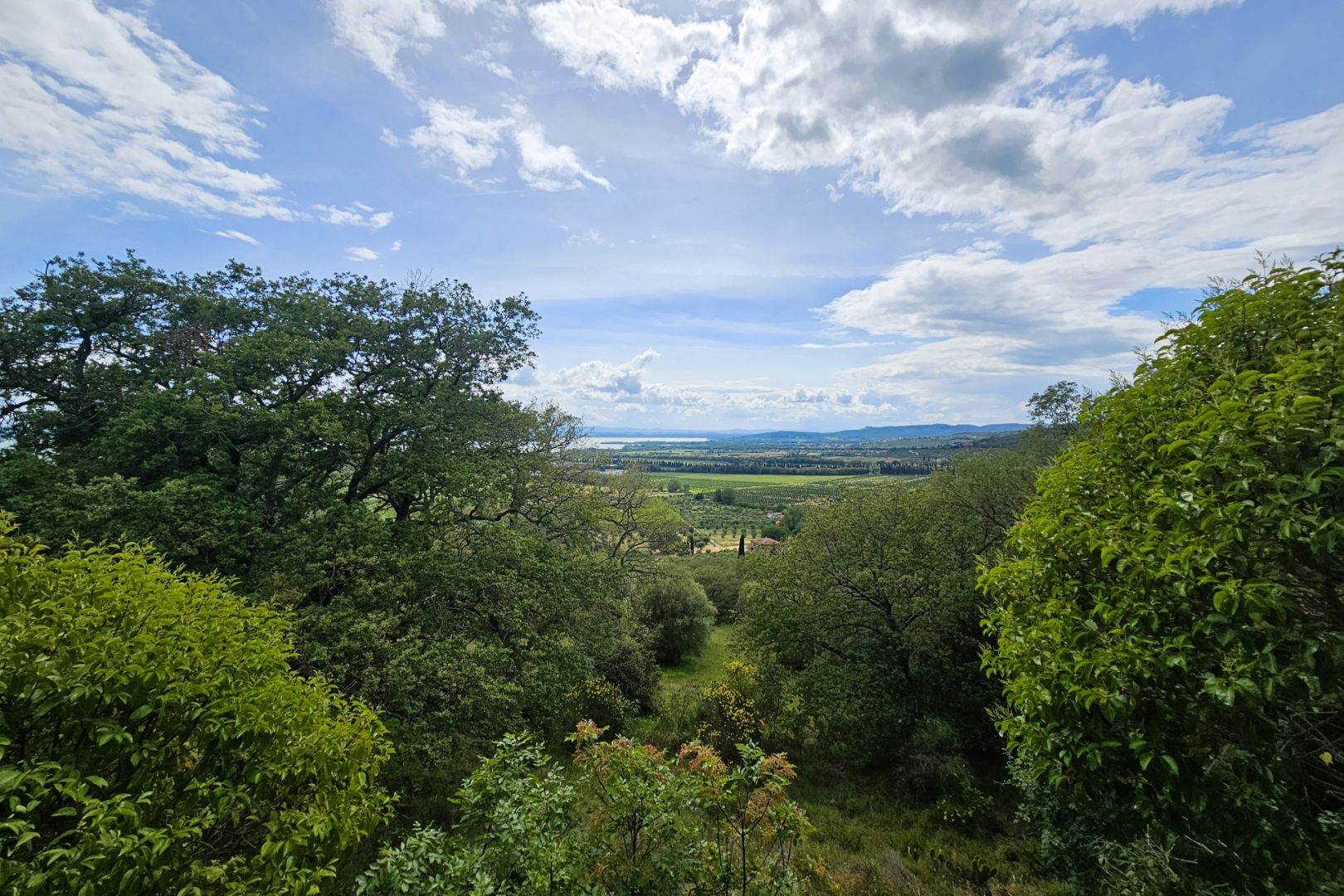 property_image