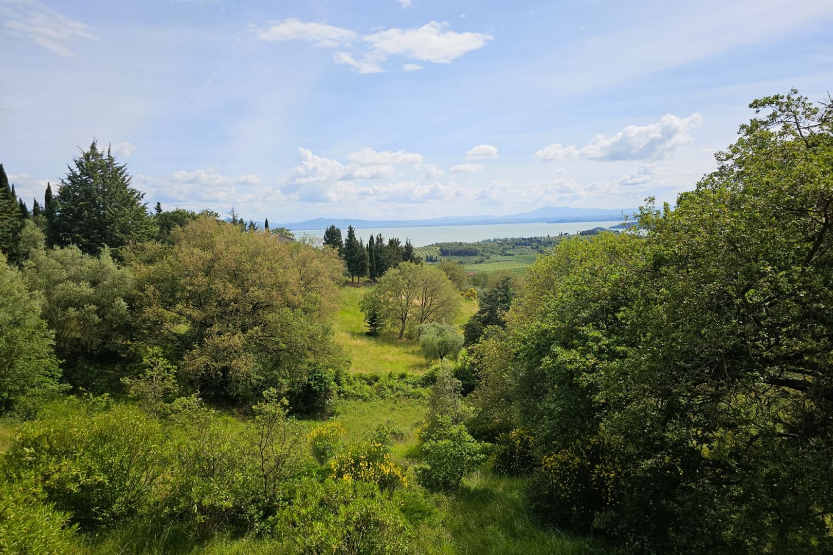 property_image