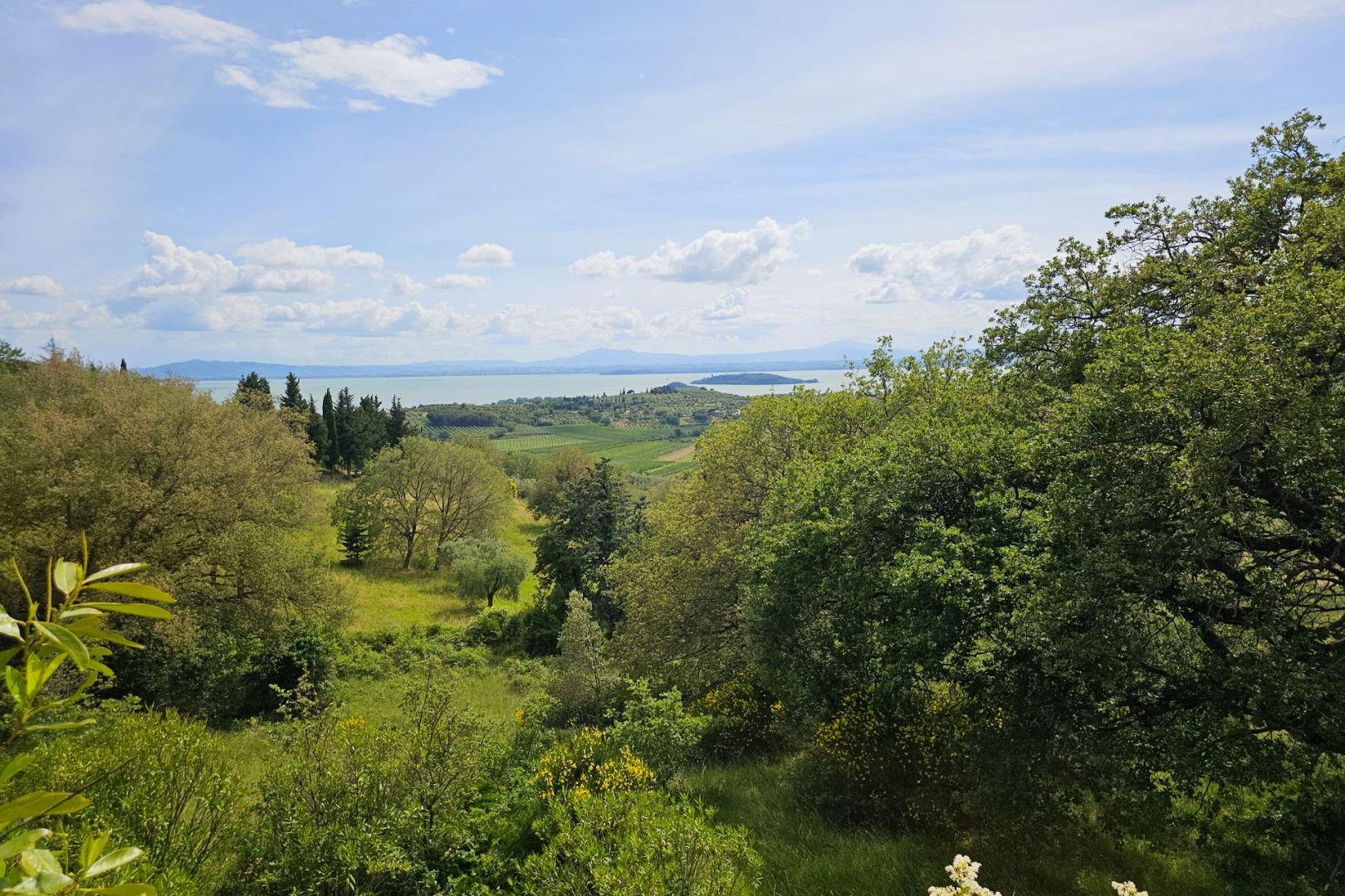 property_image