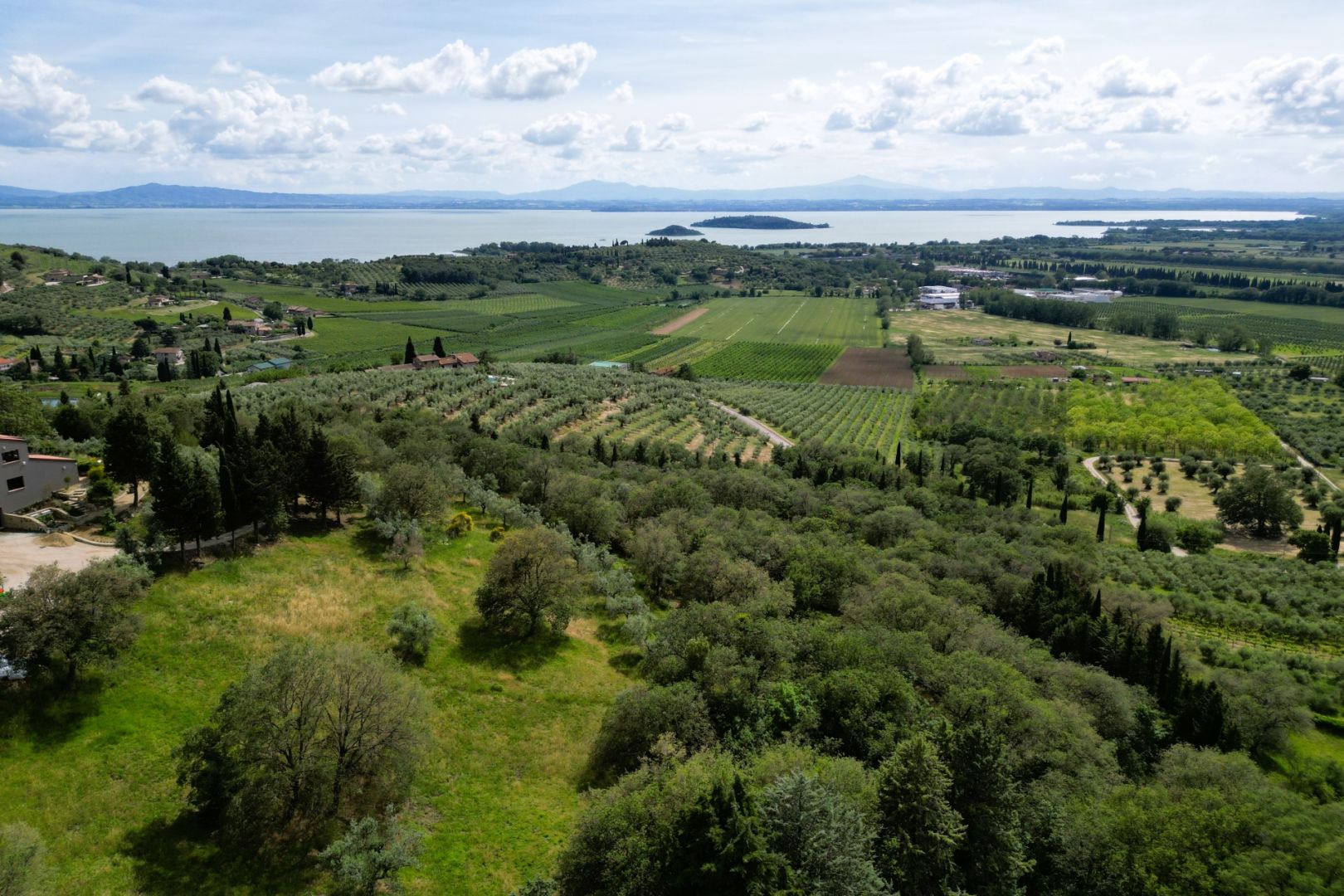 House in Passignano sul Trasimeno - Image 4