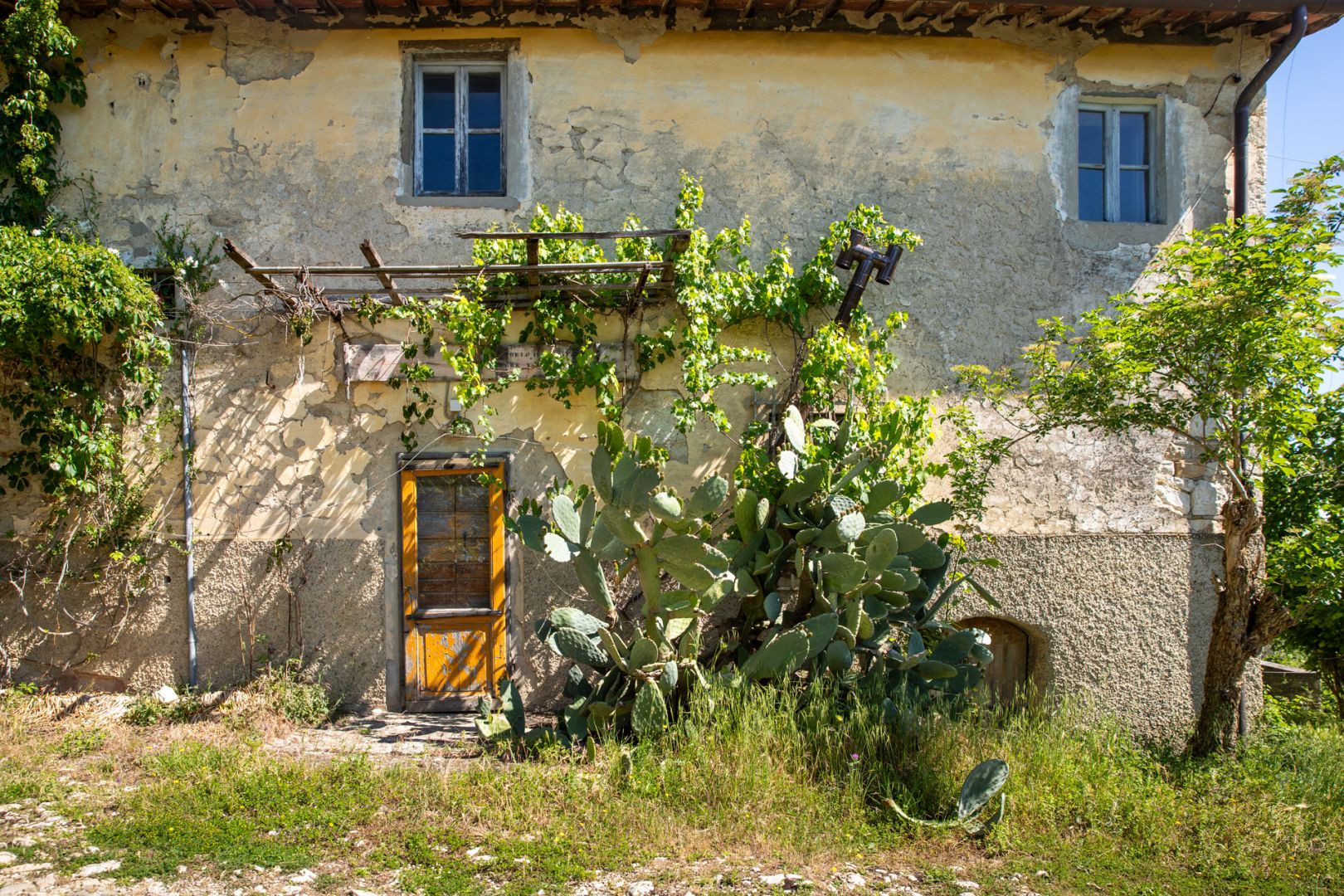 property_image
