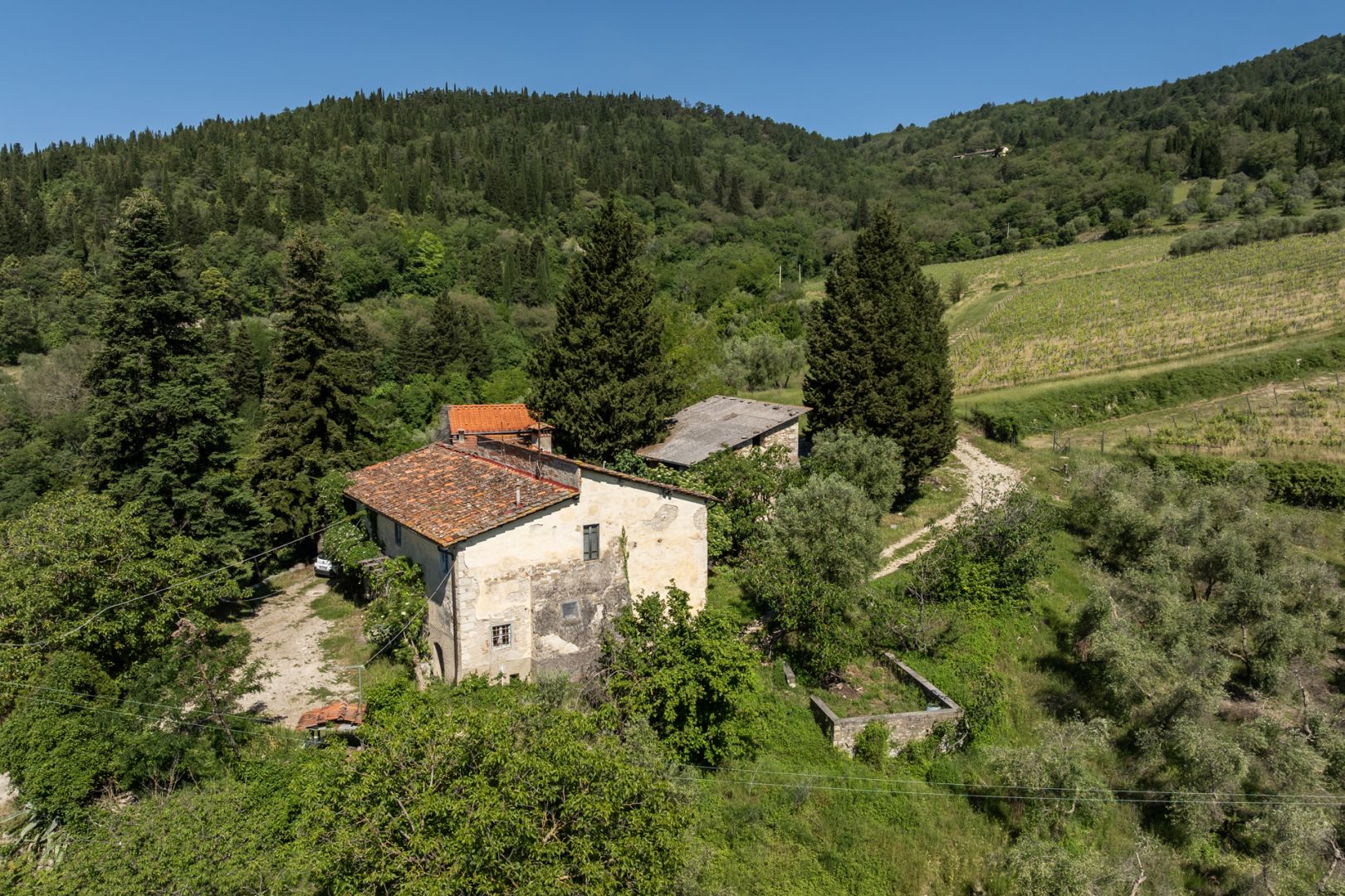 property_image