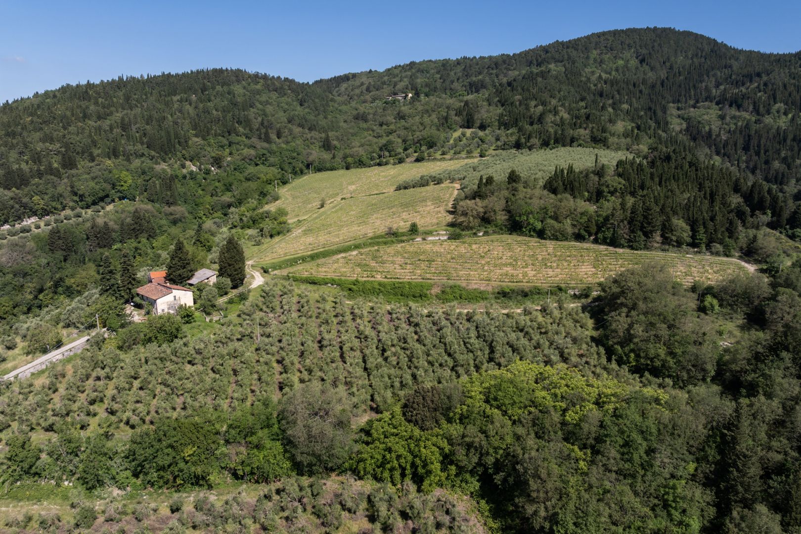 property_image
