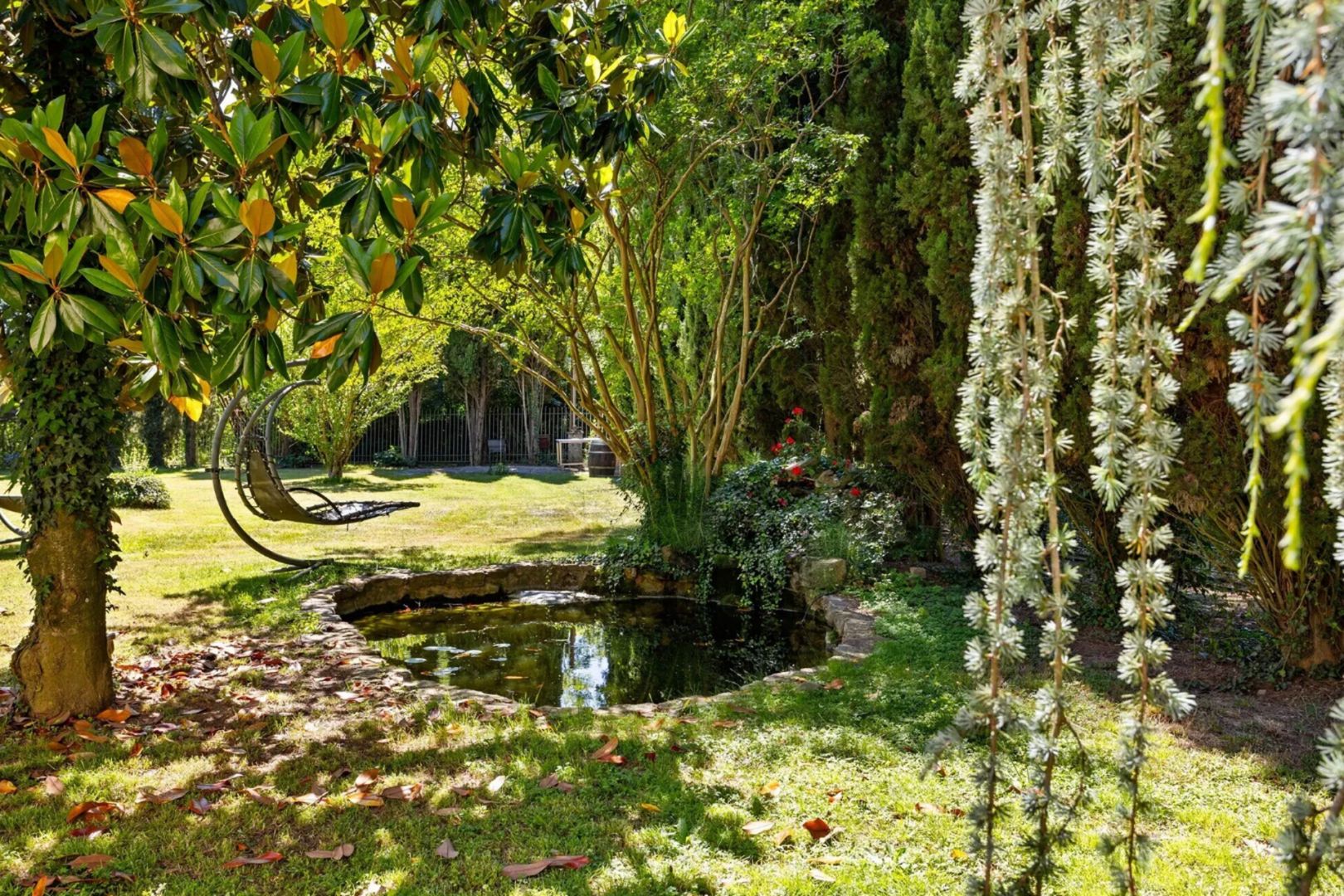 property_image