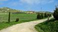 Toscana Immobiliare - casale con terreno in vendita ad Asciano, Siena, Toscana