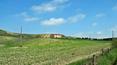 Toscana Immobiliare - Real estate in Tuscany, Siena