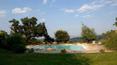 Toscana Immobiliare - The swimming pool