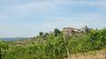 Toscana Immobiliare - Large farm with 12 he of vineyards