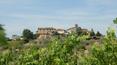 Toscana Immobiliare - The vyneyards are situated 350-450 m over the sea level, which garantees the best quality of wine