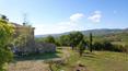 Toscana Immobiliare - Country home with land and vineyard for sale in Montalcino, Siena, Tuscany