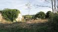Toscana Immobiliare - country house to restore for sale