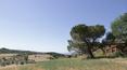 Toscana Immobiliare - Real estate in tuscany