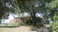Toscana Immobiliare - Rural property to be restored Tuscany