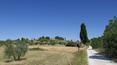 Toscana Immobiliare - Houses for sale in Siena