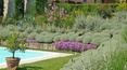 Toscana Immobiliare - Villa con piscina in vendita a Siena