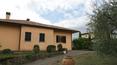 Toscana Immobiliare - Property to buy in Lucignano, Arezzo, Tuscany, Italy
