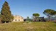 Toscana Immobiliare - siena houses for sale