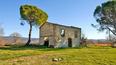 Toscana Immobiliare - house to restore 
