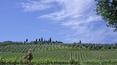 Toscana Immobiliare - Prestigious property for sale in Tuscany