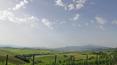 Toscana Immobiliare - Val d\'Orcia farm with vineyard in the beautiful Tuscan countryside
