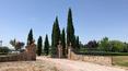 Toscana Immobiliare - Villa con piscina in vendita Castiglione del Lago, Umbria