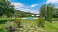 Toscana Immobiliare - Tuscan Properties with swimming pool for sale in Cetona, Siena