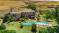 Toscana Immobiliare - Azienda agricola con vigneti in vendita Montalcino Siena