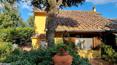 Toscana Immobiliare -  La proprietà comprende la villa, 2 annessi, il giardino e circa 1 ha di terreno boschivo
