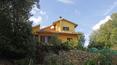 Toscana Immobiliare - The property includes the villa, 2 annexes, the garden and approximately 1 ha of woodland