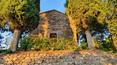 Toscana Immobiliare - Wine estate for sale in Montalcino, Tuscany, Italy