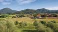 Toscana Immobiliare - Lucca Luxury Real Estate for Sale