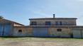 Toscana Immobiliare - Renovated Tuscan farmhouse with farmhouses and land for sale in Buonconvento, Siena