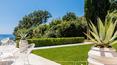 Toscana Immobiliare - Argentario Villa frontemare con piscina in vendita a Cala Piccola