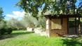 Toscana Immobiliare - Bauernhaus in der grünen Landschaft, nur wenige Kilometer von Montepulciano entfernt.