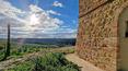 Toscana Immobiliare - The property enjoys a beautiful location and breathtaking views, a stone's throw from the small village of Montisi and immersed in the most unspoilt nature.